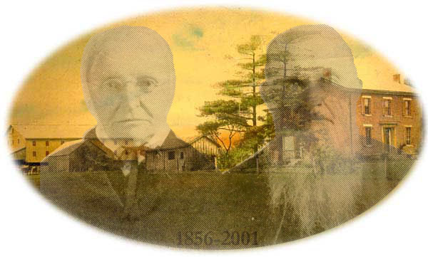 [The Homestead in Better 
Days - The Summer of 1914]